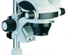 Estereomicroscópio BEL Photonics STM Pro