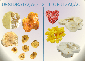Equipamentos para processo de liofilização