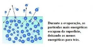 Recuperação de semivoláteis e pesticidas com o sistema concentrador DryVap® 3