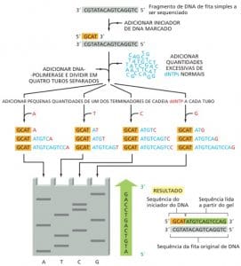 Sequenciamento de DNA por Sanger